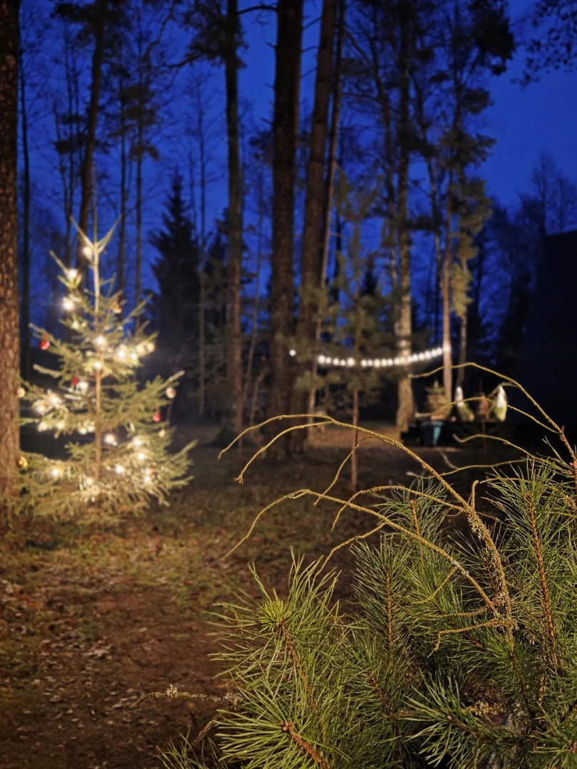 База отдыха Вейкпарк Волма