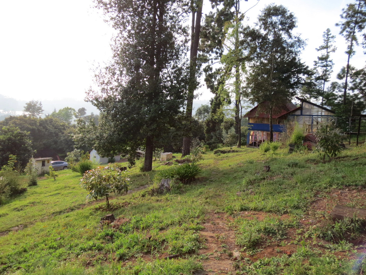 Отель Viña Real Cabañas Rotamundos