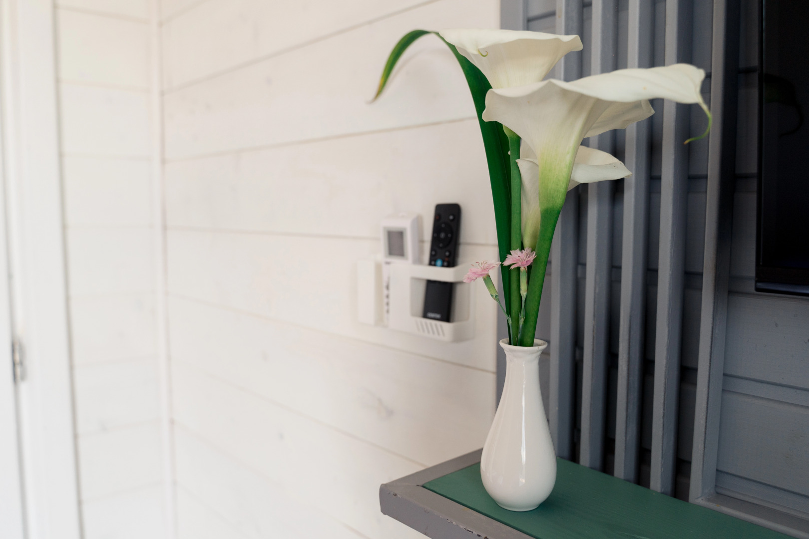 Отель Manresa Family Resort