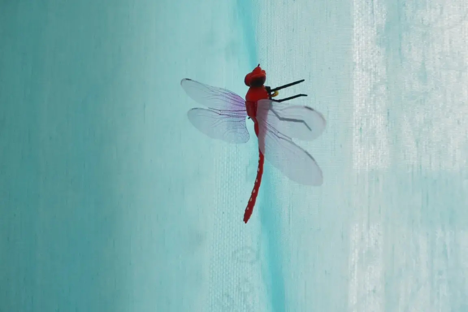 Апартаменты Полет 1