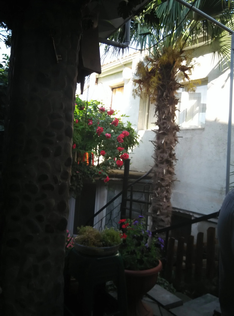 Меблированные комнаты Волна