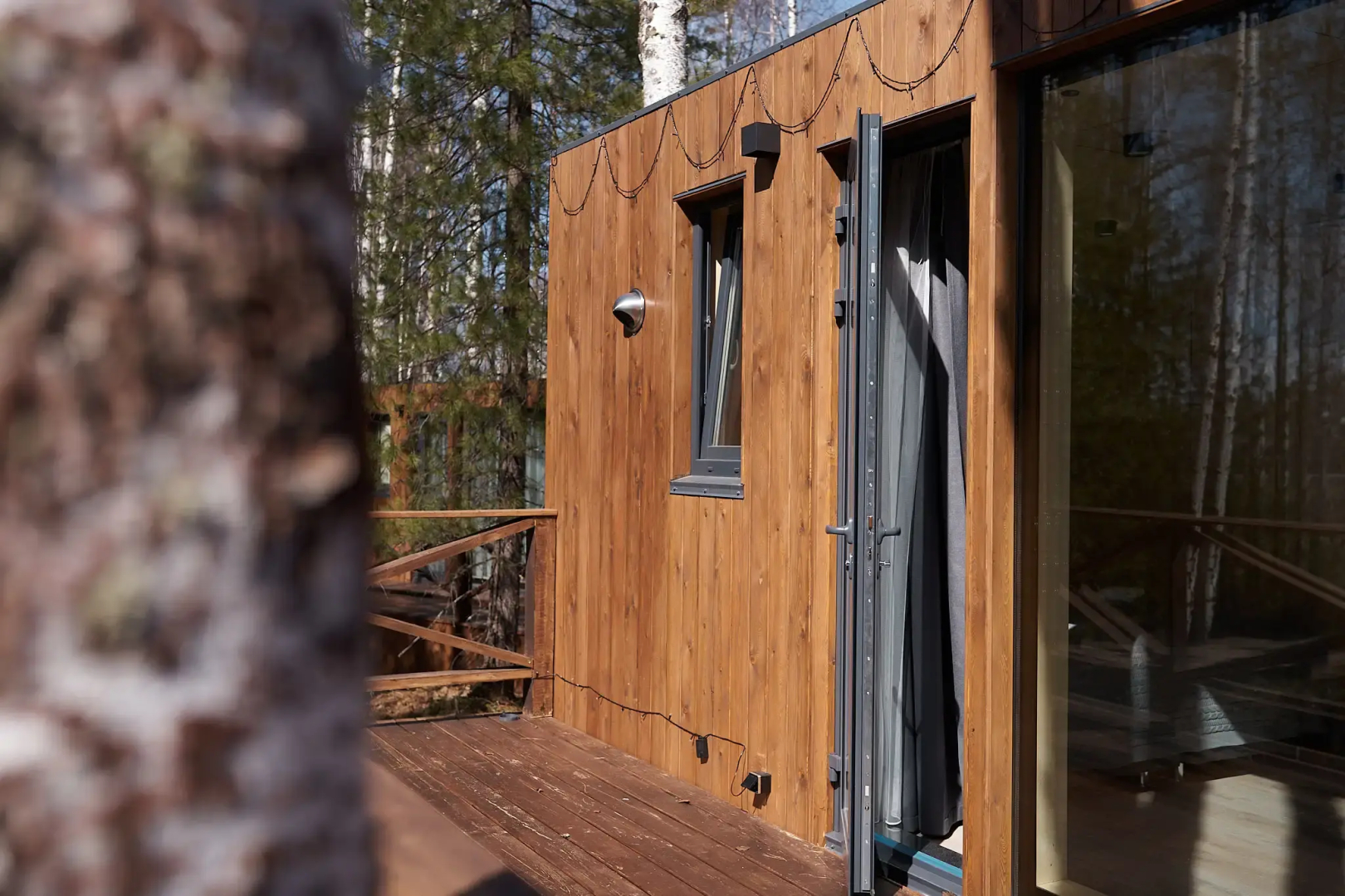 Снежные Гуси в Байкальске