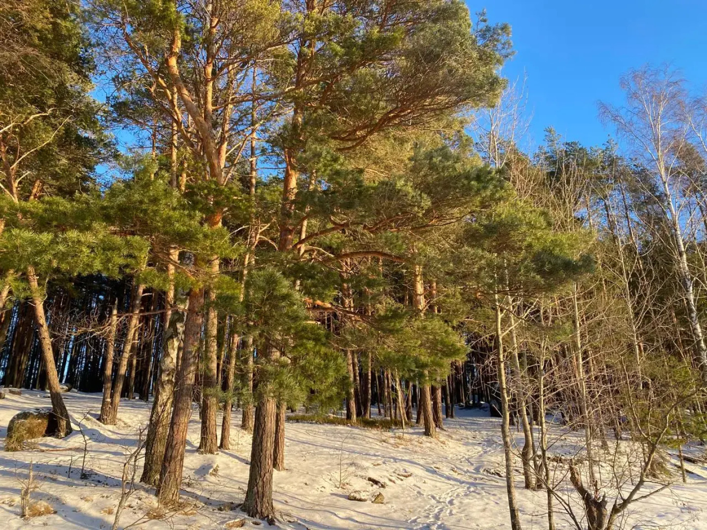 Частный дом на Береговой 3