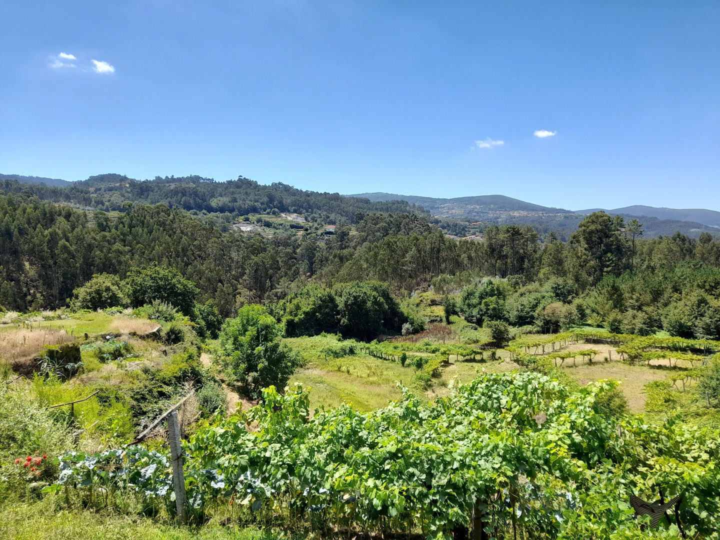 Апартаменты The VALLEY