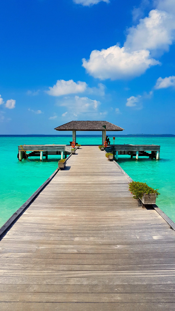 Отель The Barefoot Eco