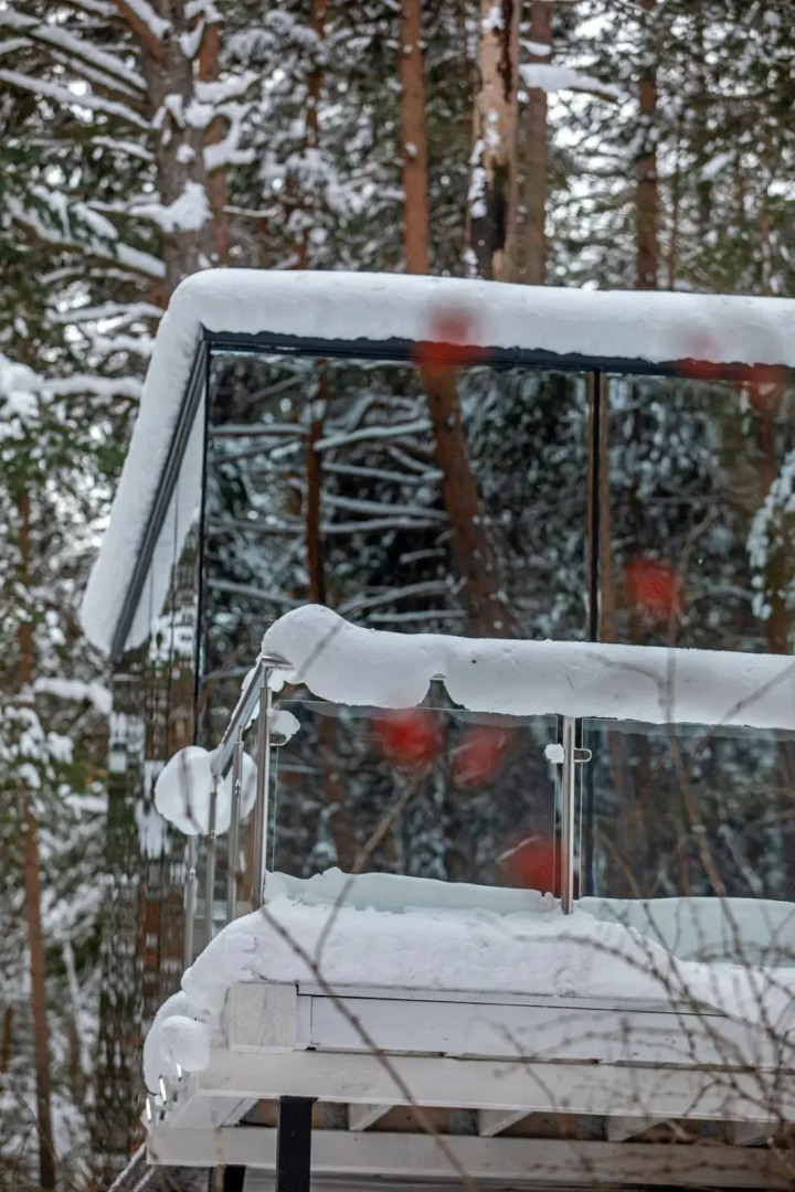 Evolution Guest House