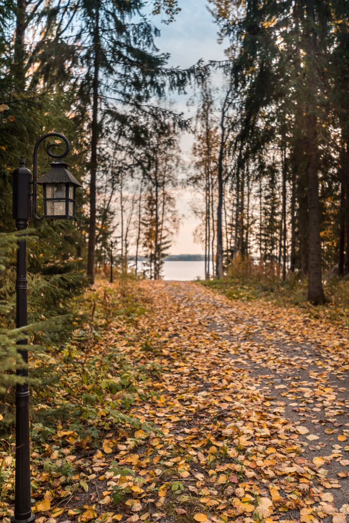 Времена Года