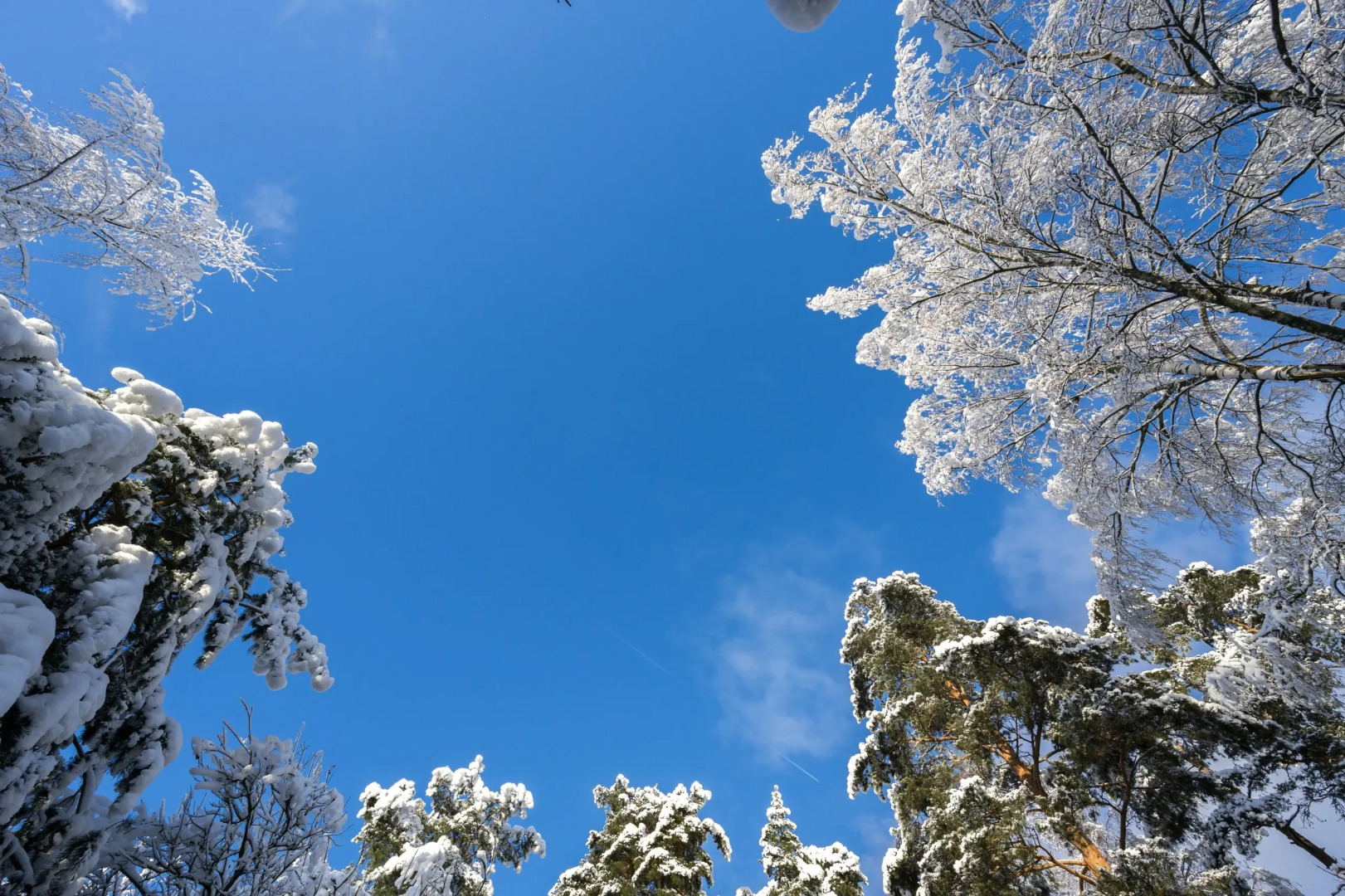 Частный Дом RentalSPb на Петровском Озере Ж/Д Петяярви