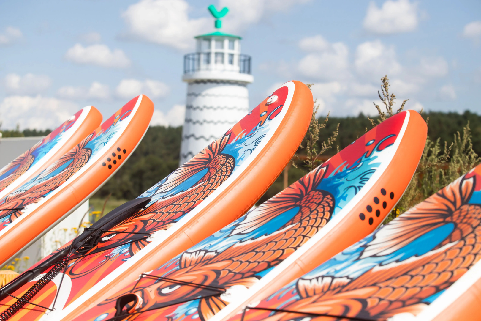 Отель Арт-кэмп Дикая Мята