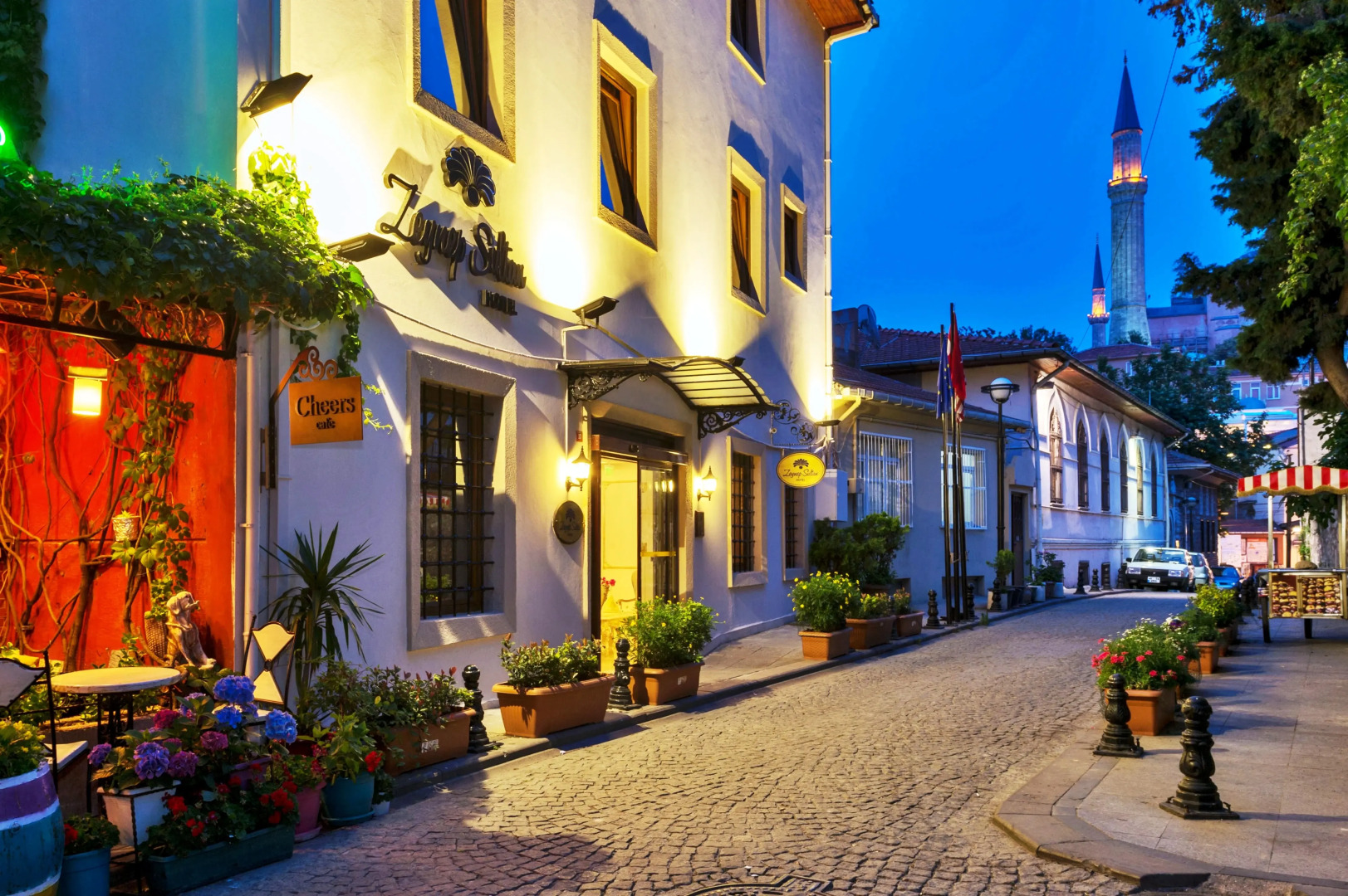 Отель Zeynep Sultan