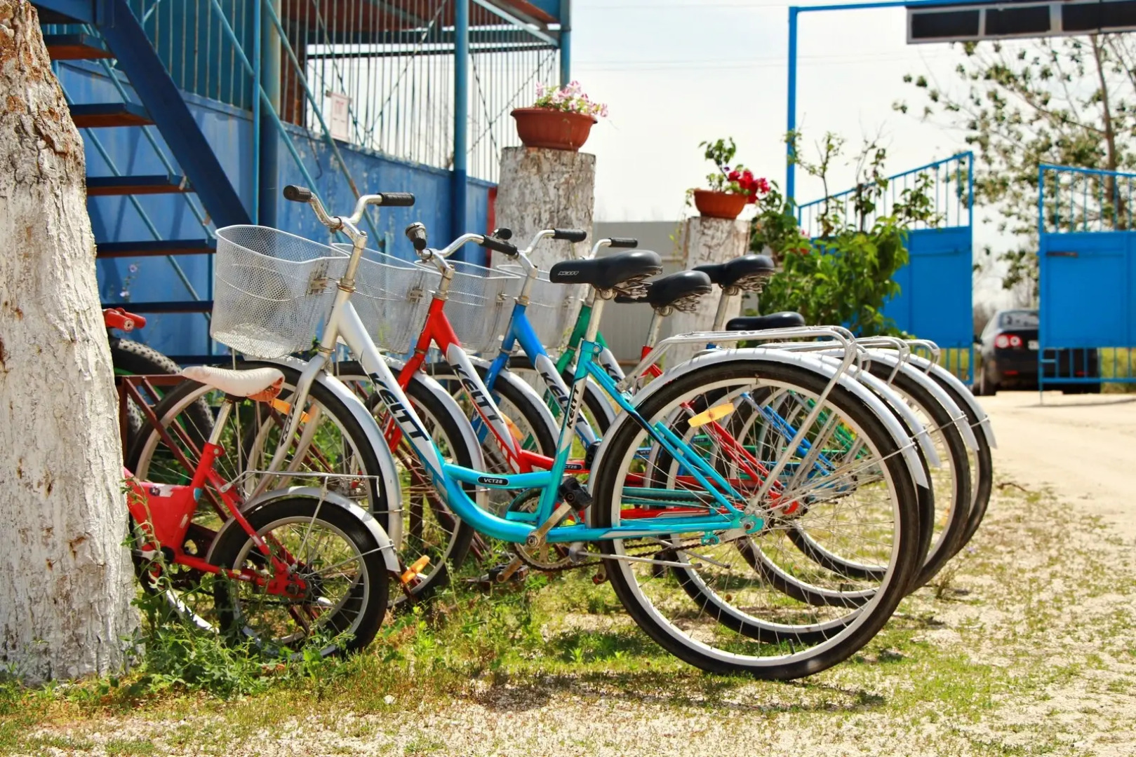 База отдыха Роза ветров