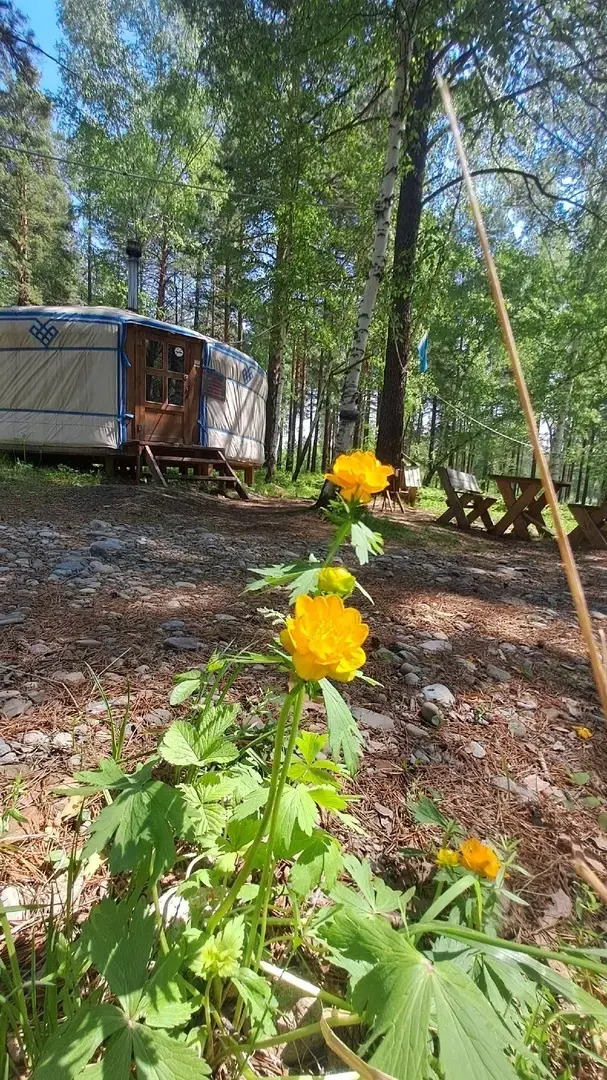 Кэмпинг Золотая юрта