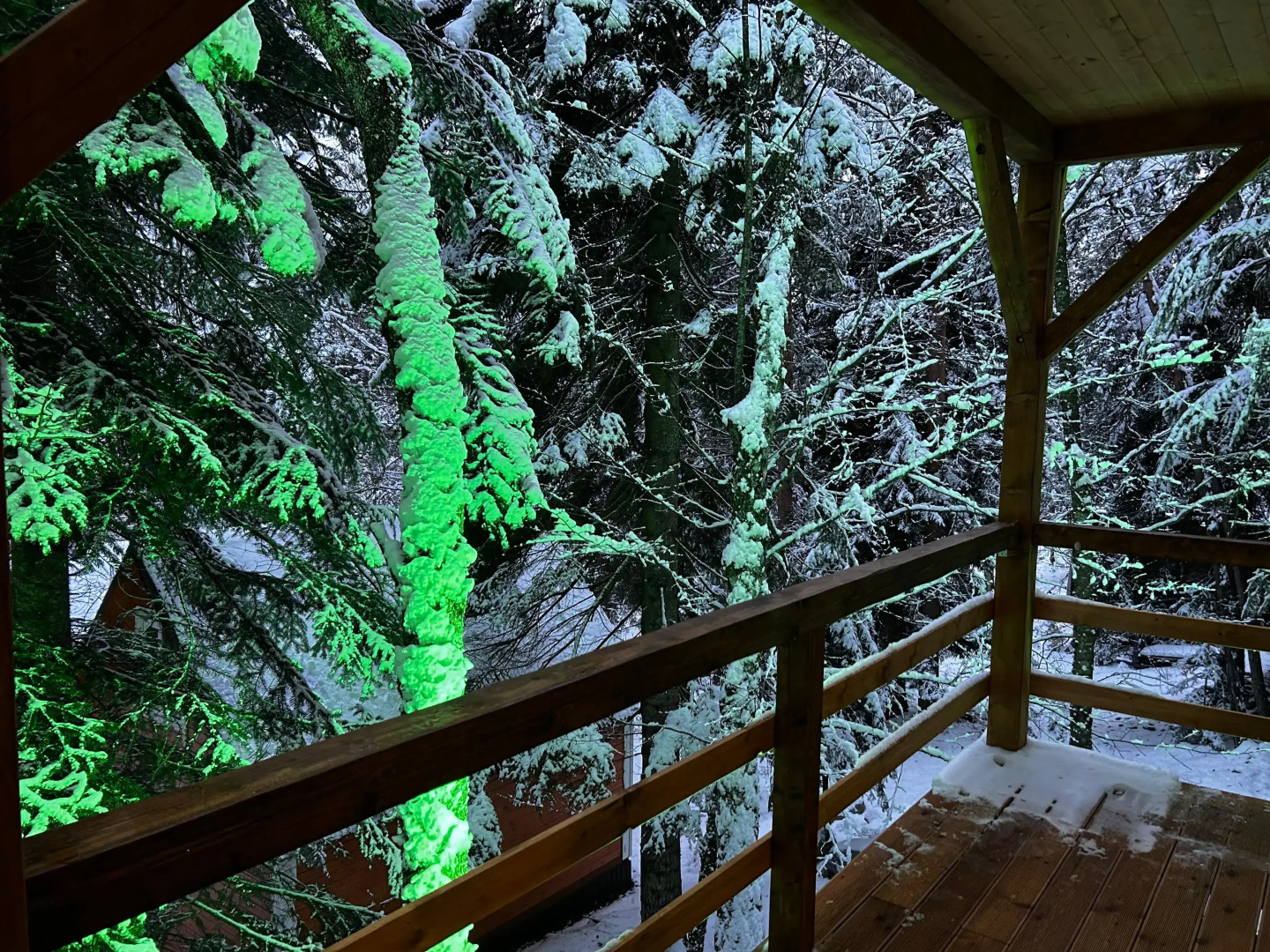 База отдыха Гринвальд 1474