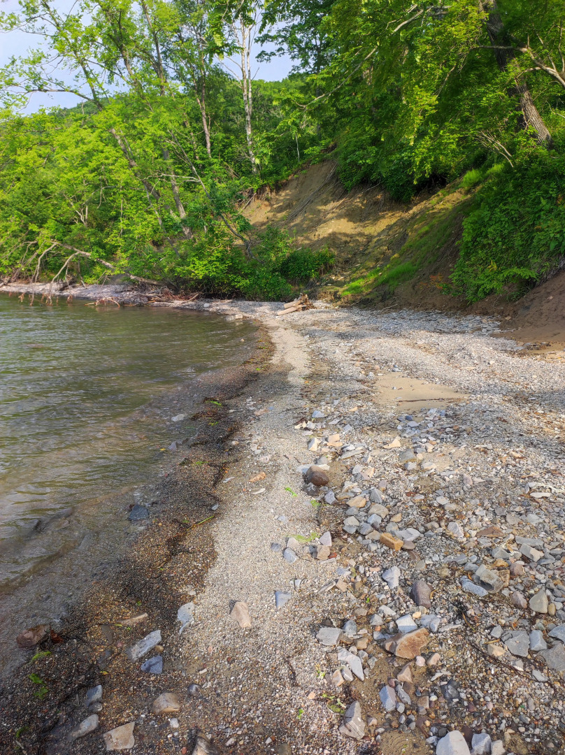 Глэмпинг Guest small house