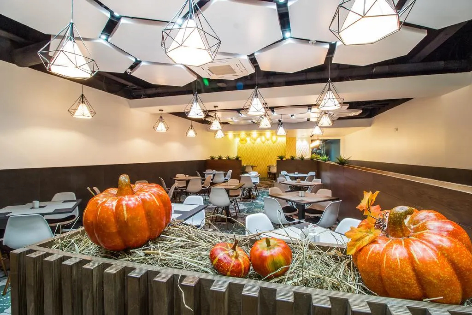 Отель Sunflower Внуково ZONT Hotel Group