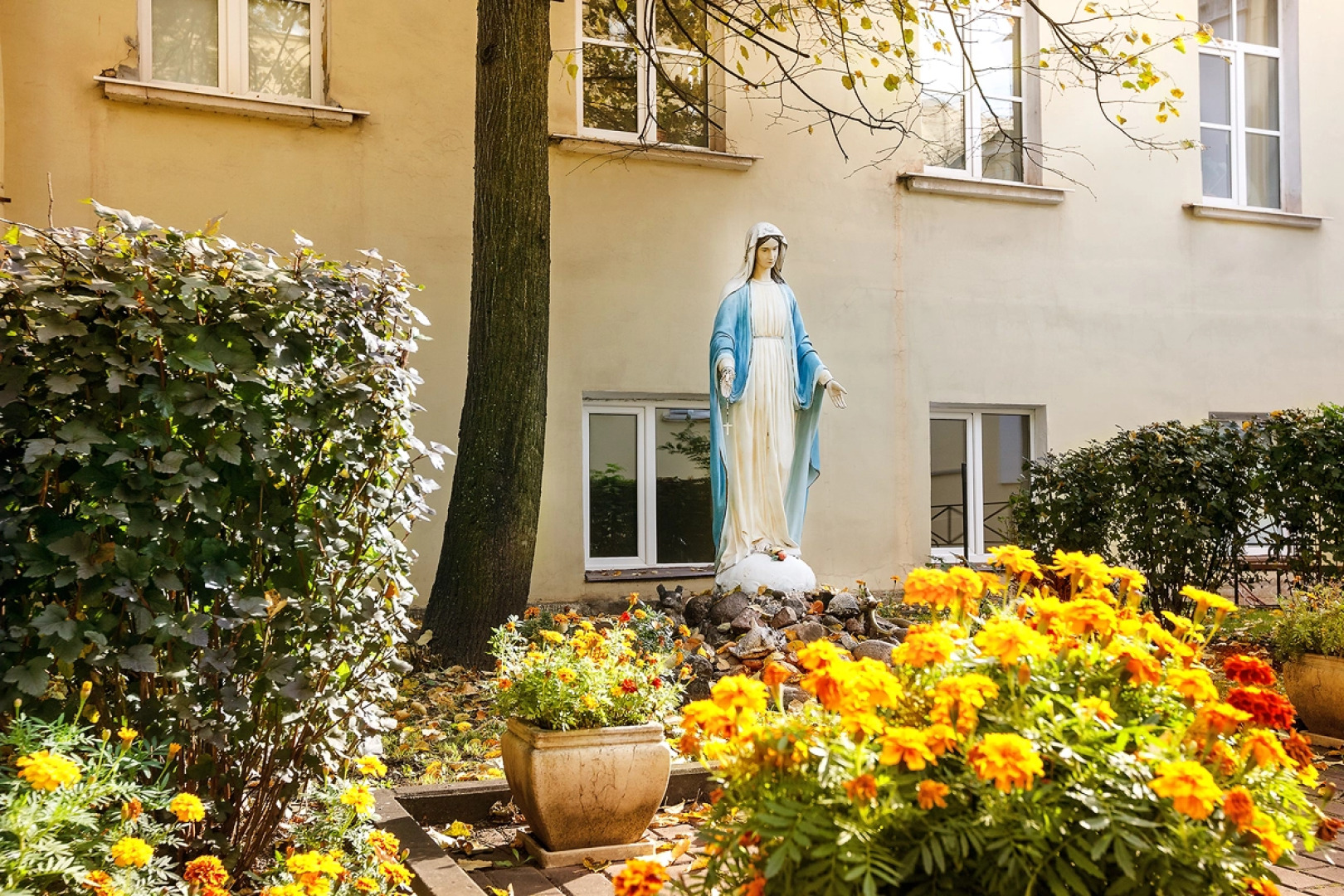 Отель Catherine Art