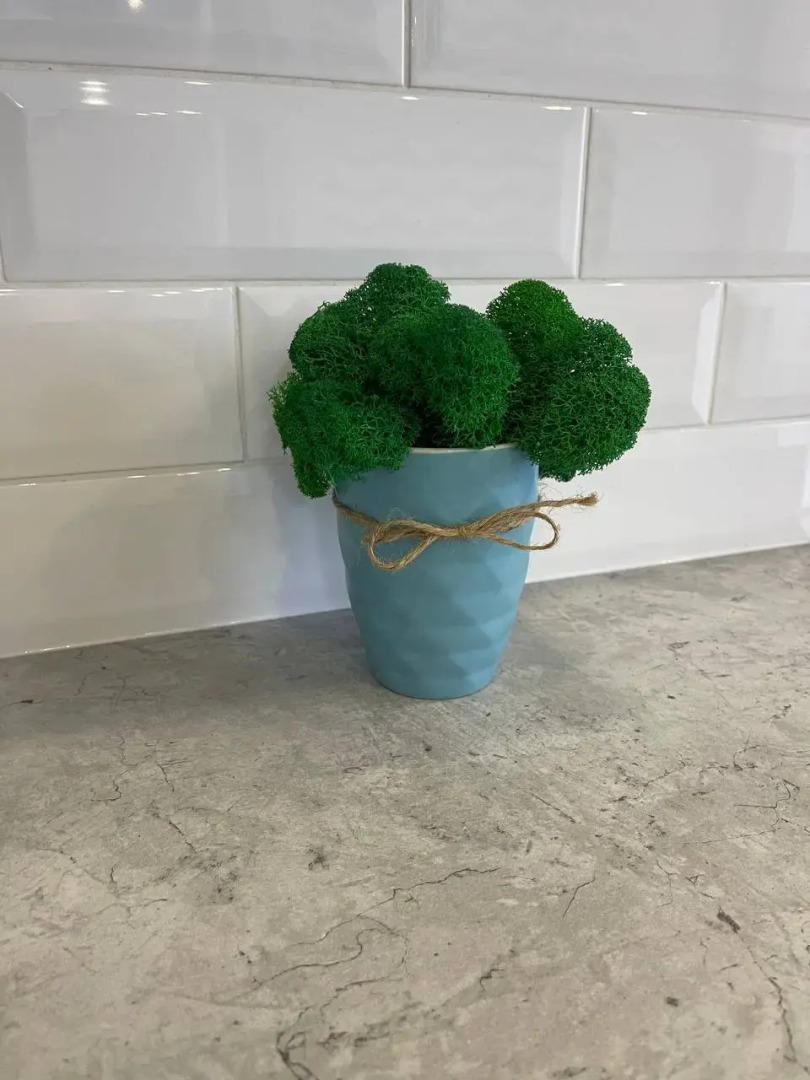 Квартира на Малой Финляндии