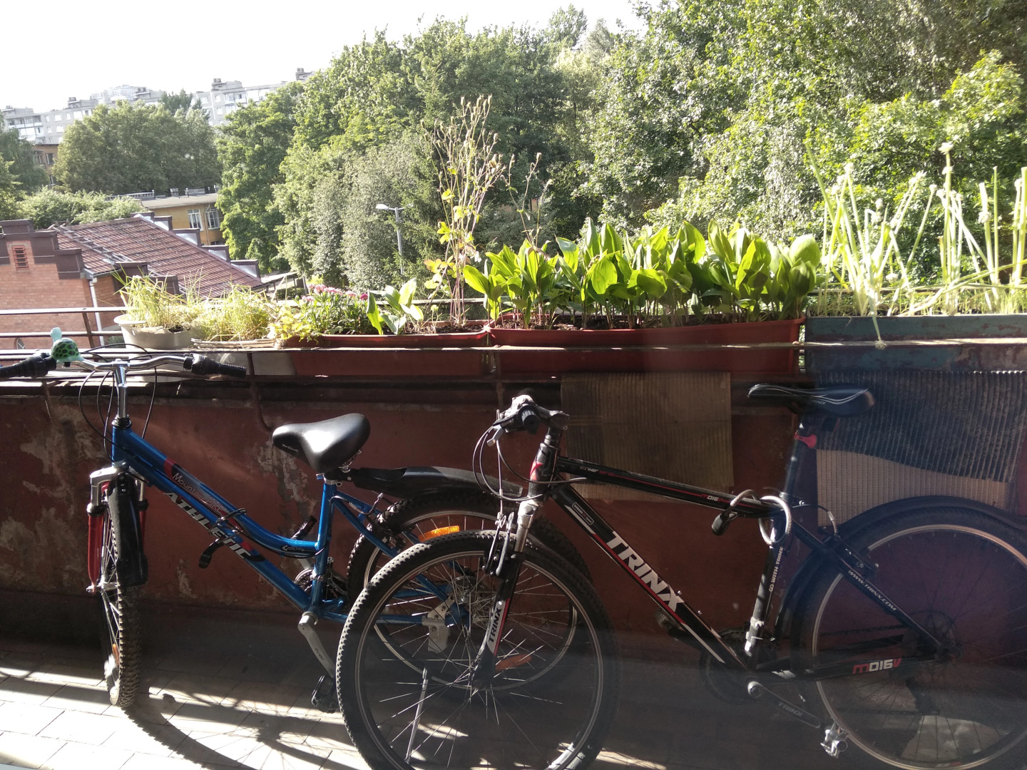 Меблированные комнаты в немецком доме на 1812 года