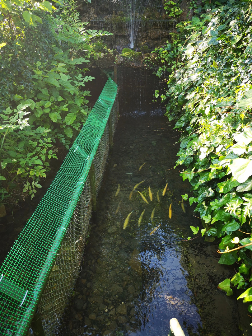 Гостевой дом Форелька