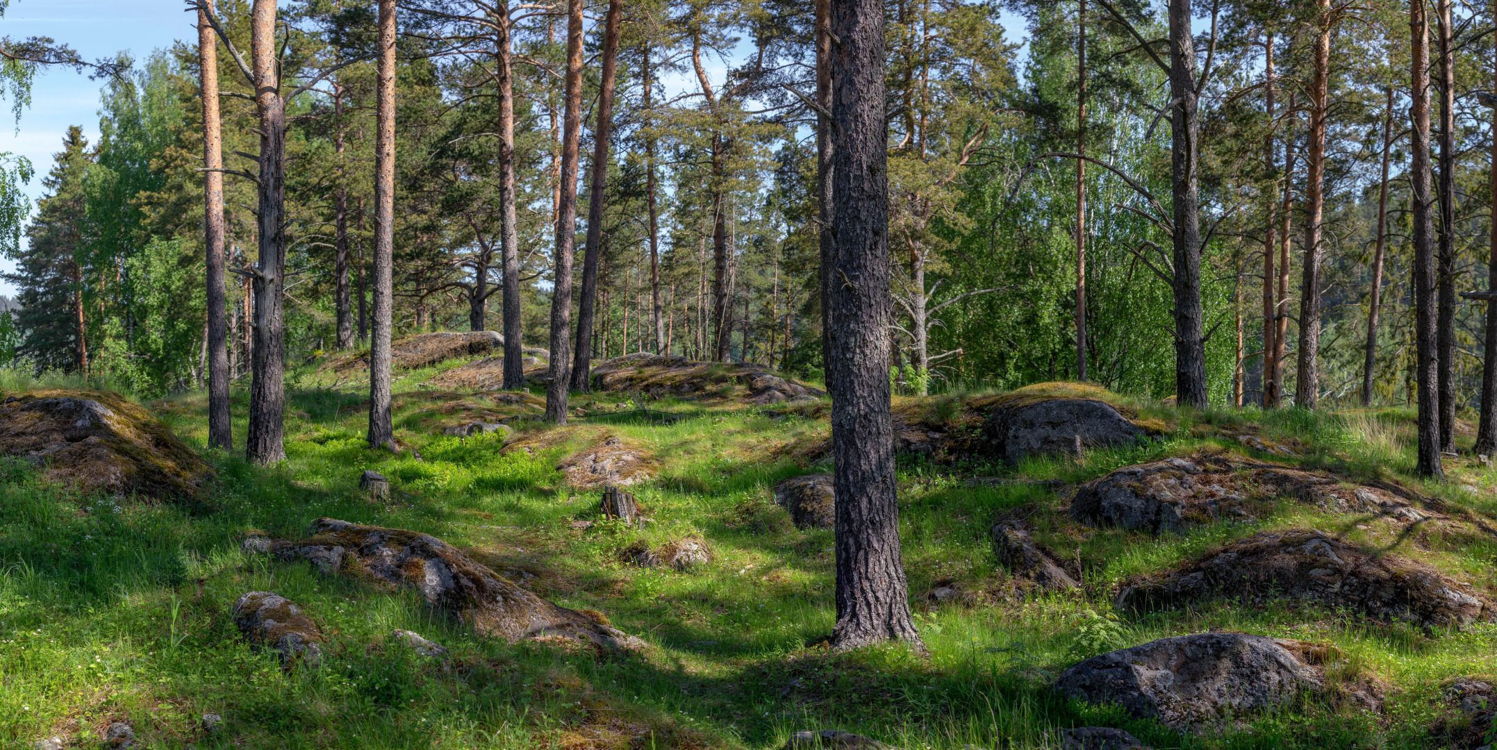 Кемпинг Смородина Кемп