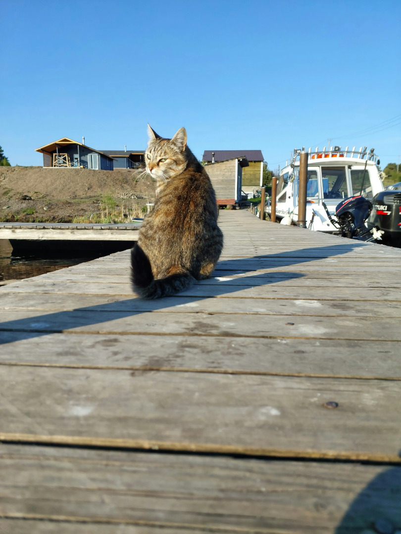 Коттеджный посёлок У Плотника