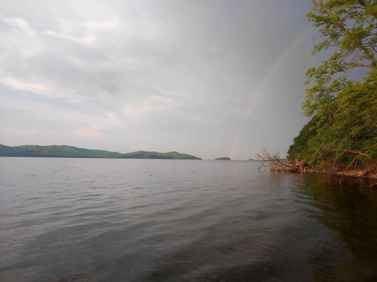 Глэмпинг Guest small house