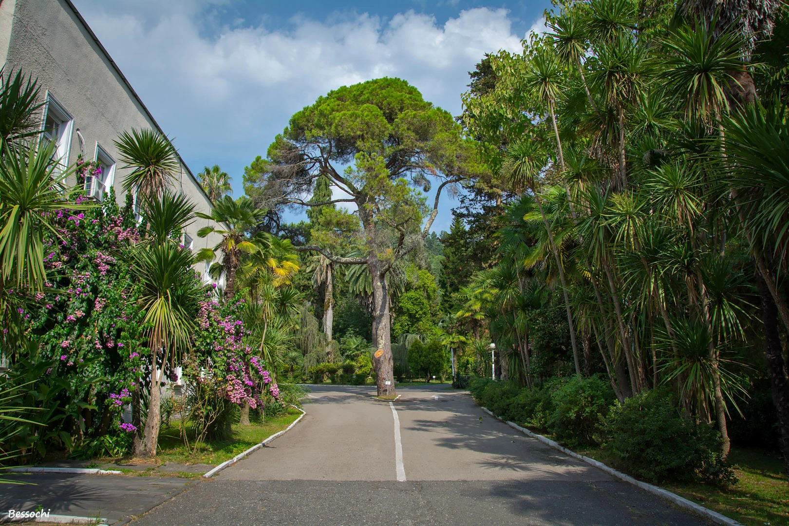 Мини-отель Дендропарк