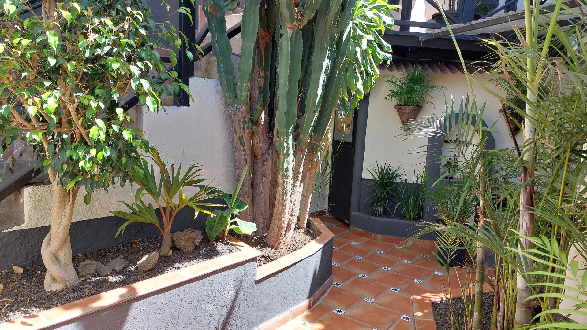 Апартаменты Apartamentos Monasterio de San Antonio Adults Only