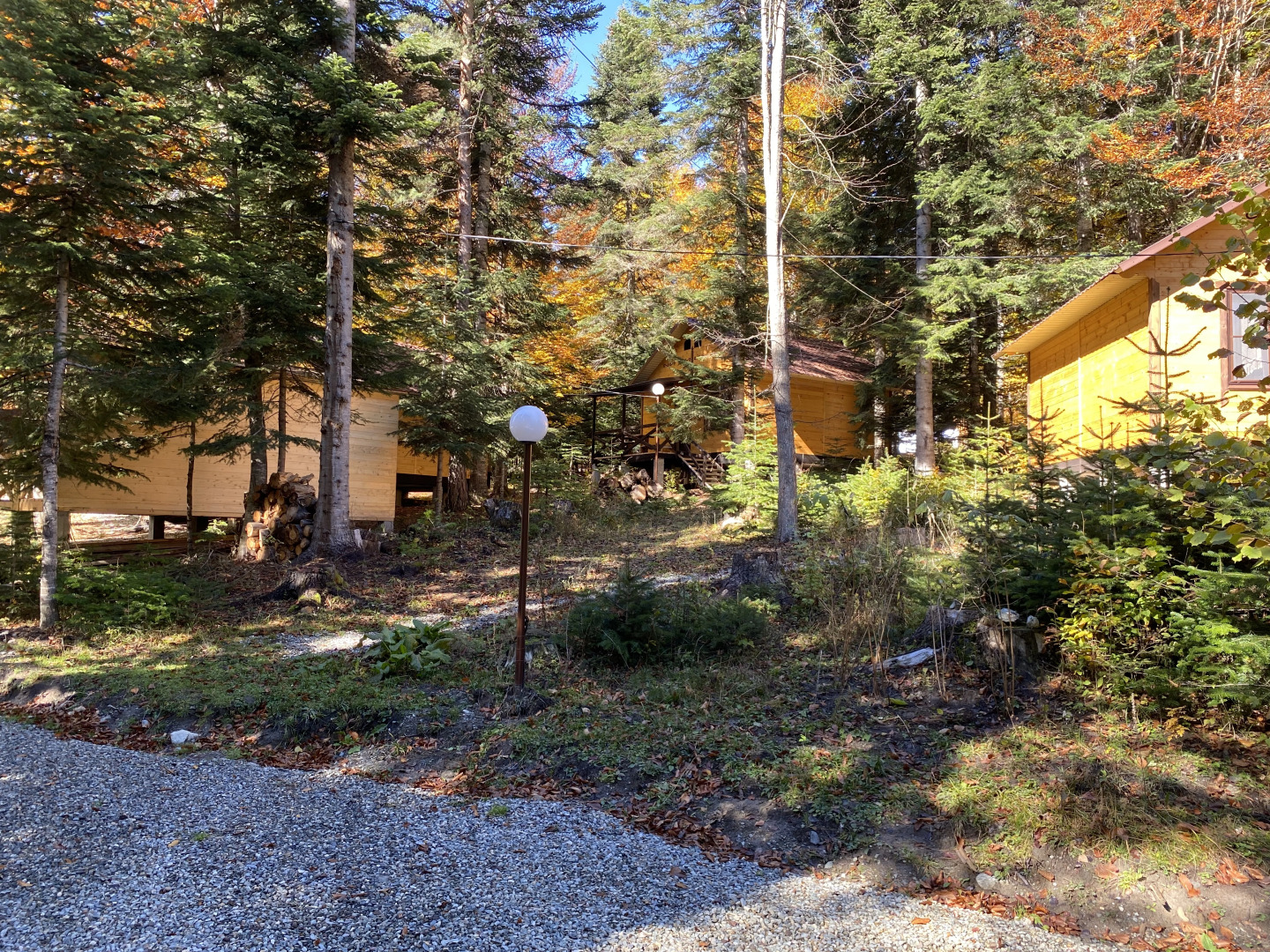 База отдыха Поляна Зубров