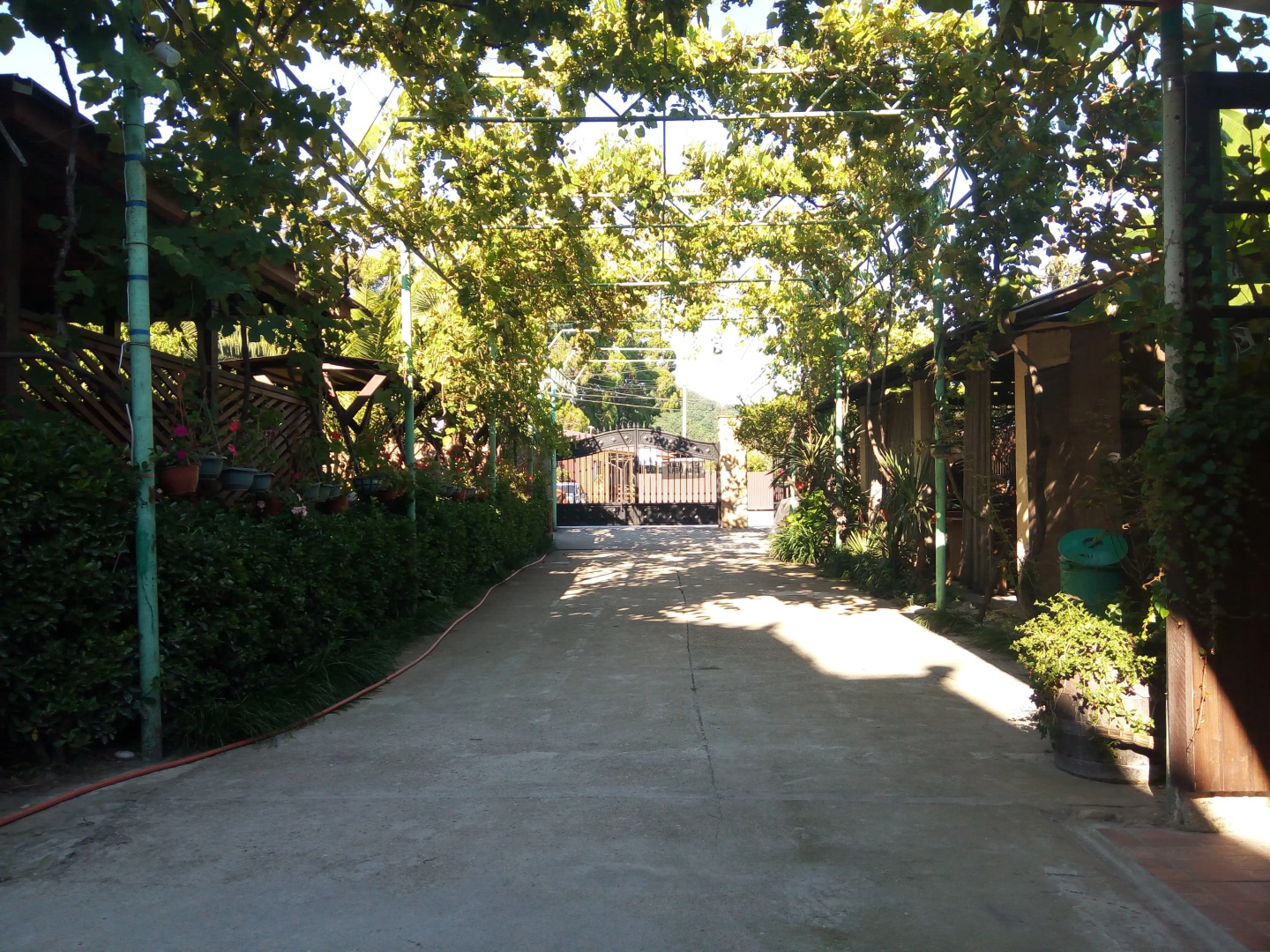 Отель Грант