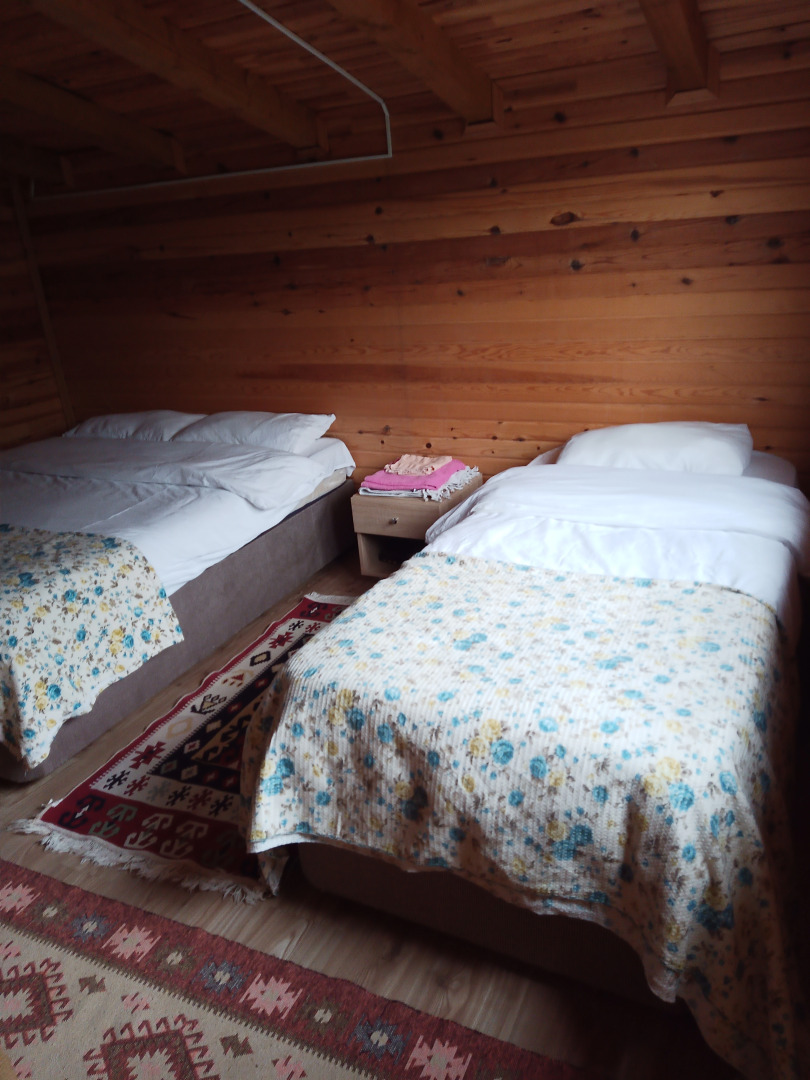 Отель Gogalay Bungalov