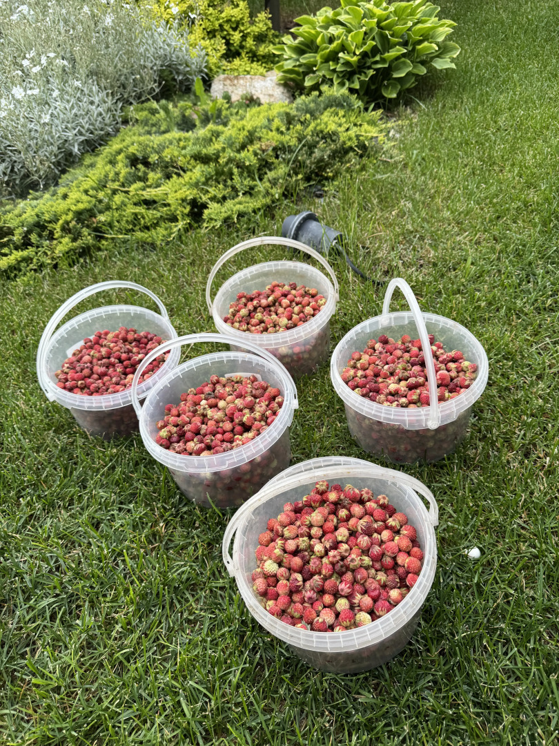 Частный дом уютный домик рядом озеро и сосновый бор