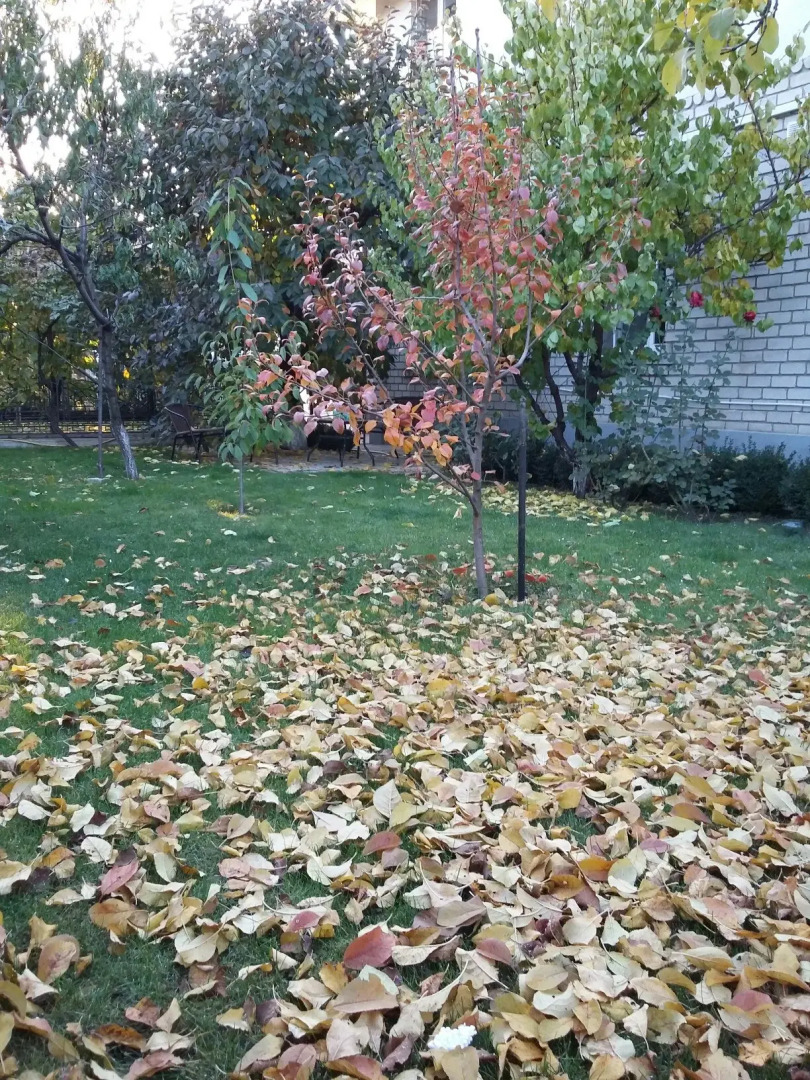 Апарт-Отель Южный Дворик