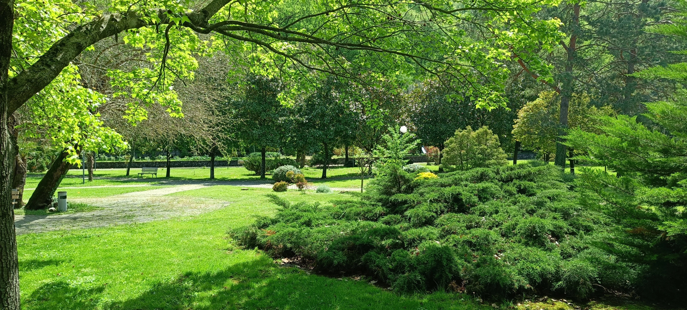 Апартаменты Агой Оазис