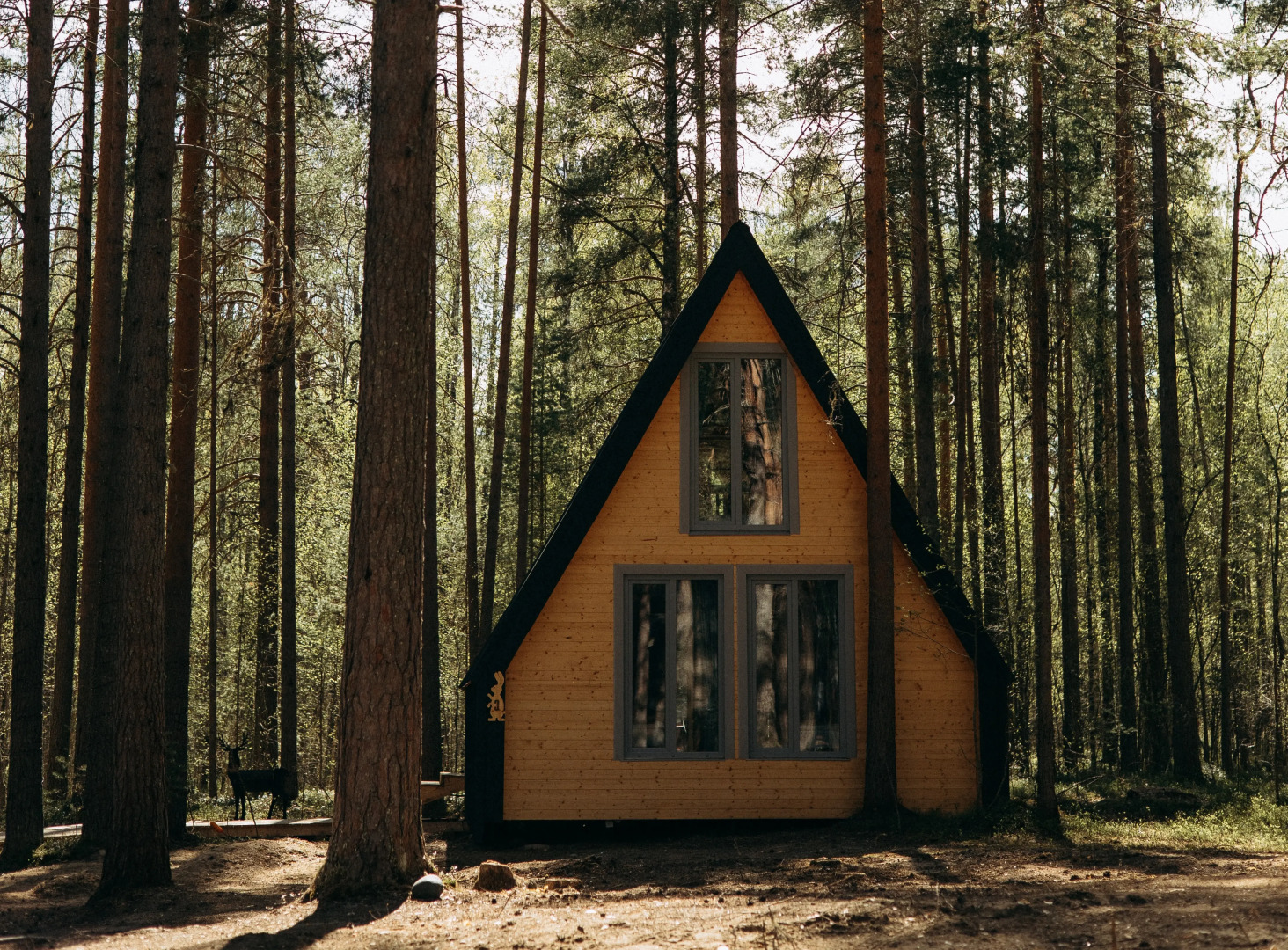 Отель  Хвоя.Карелия