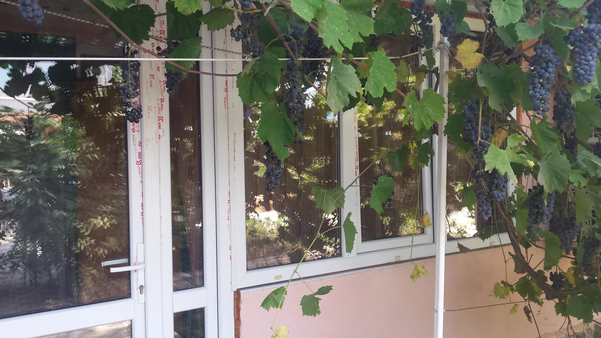 Гостевой дом Крабовая Бухта