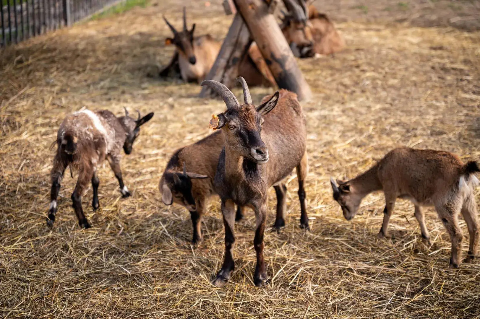 Частный дом Дом в Серпухове Счастье здесь
