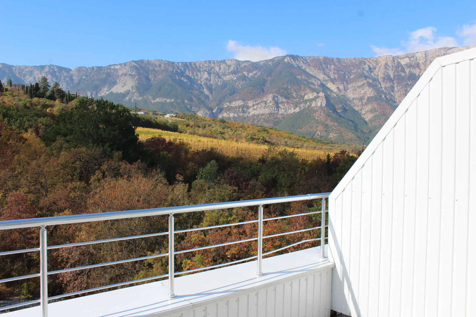 Отель Борода