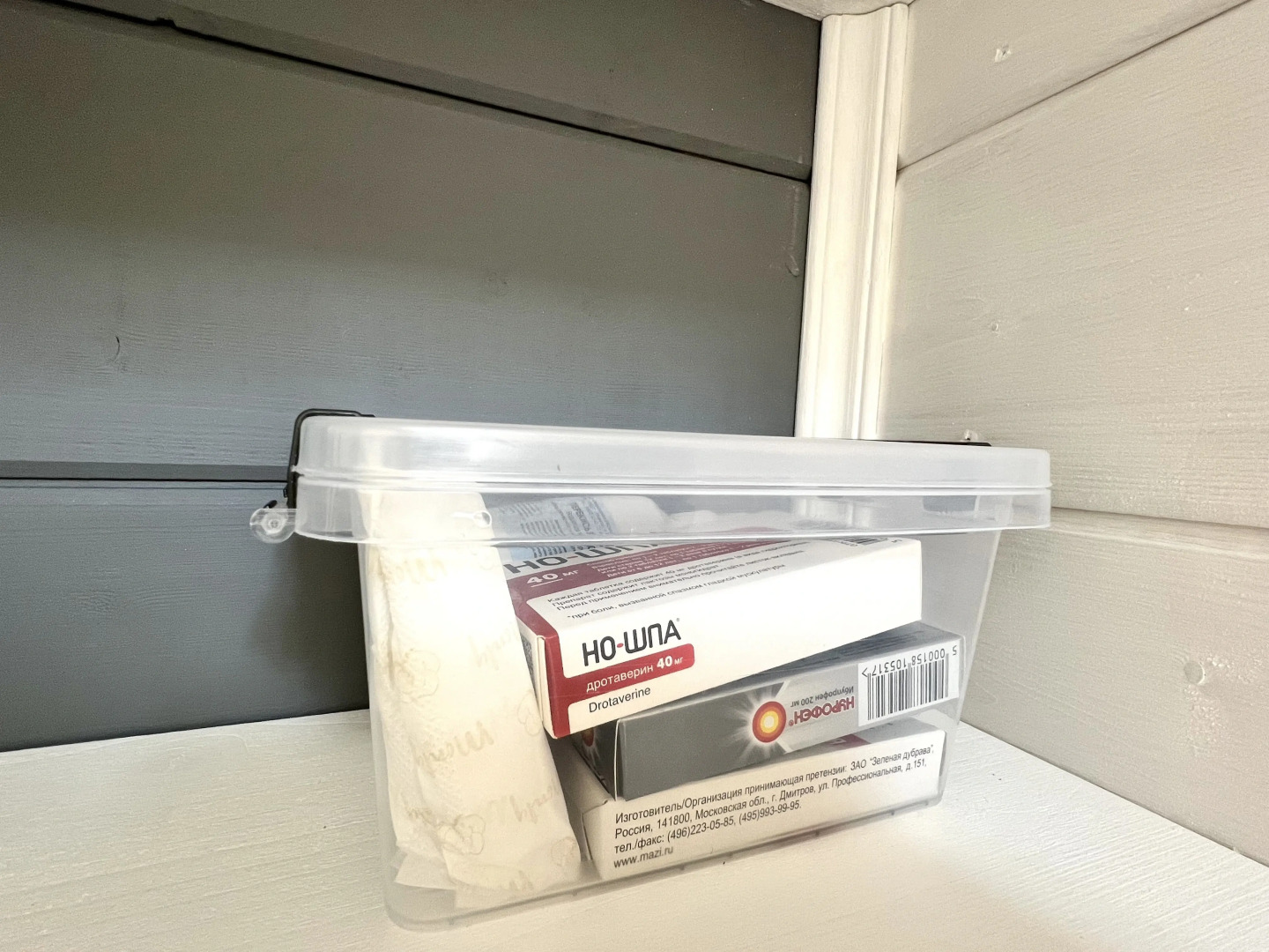 Частный дом Уютный домик в деревне Корытово