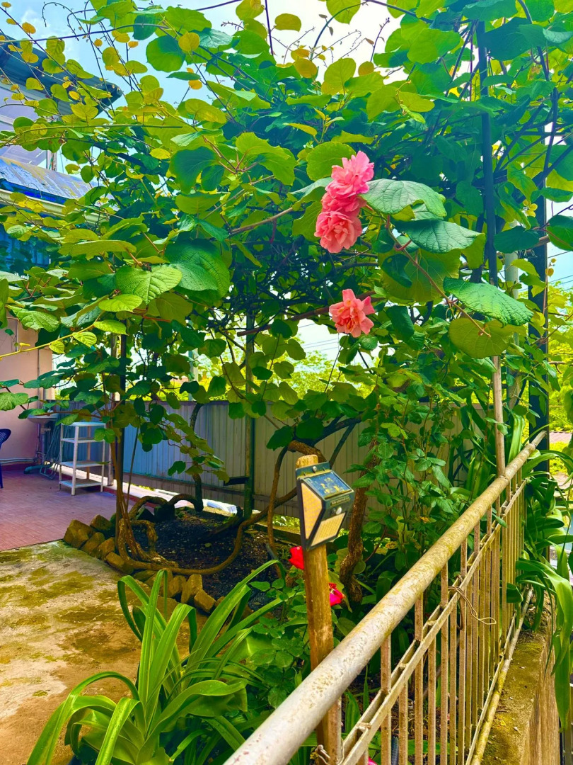 Гостевой дом На Высоте