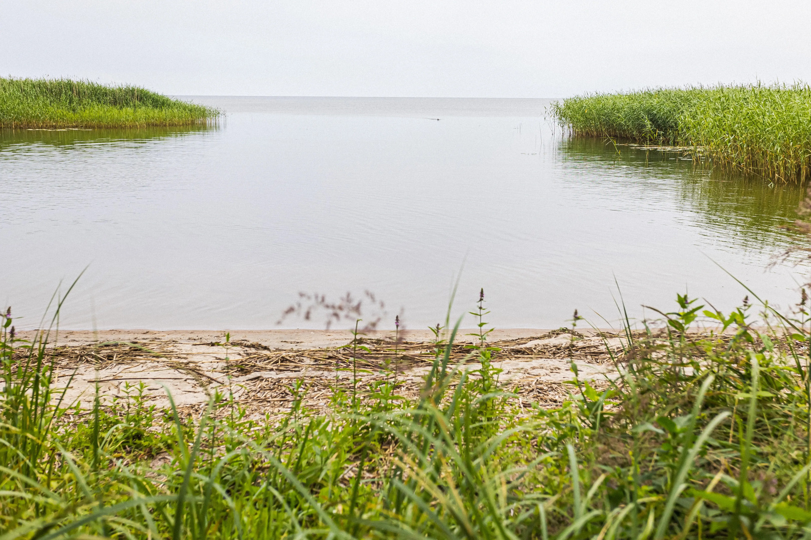 База отдыха ВитТех