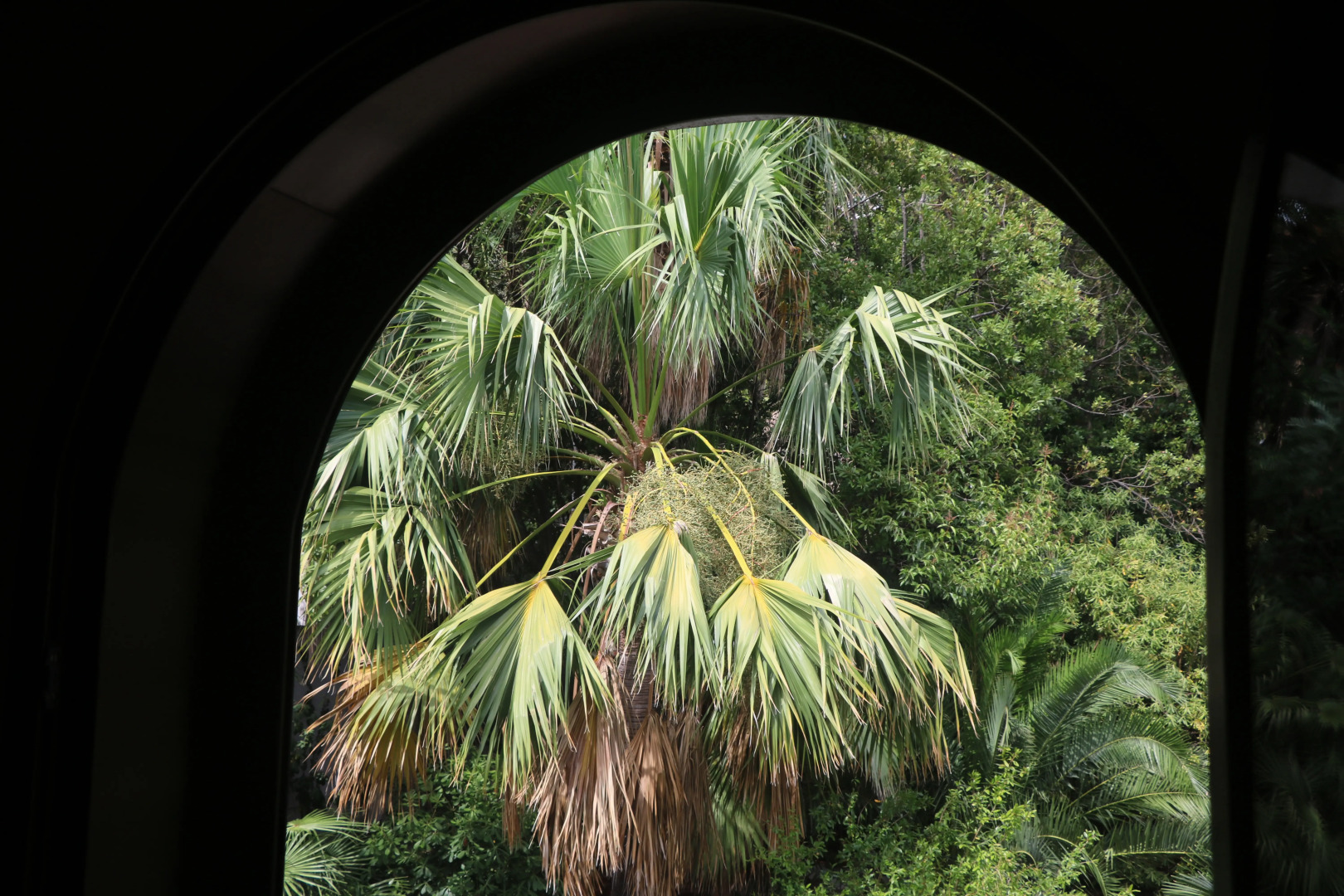 Отель Garni Vila Aleksandar