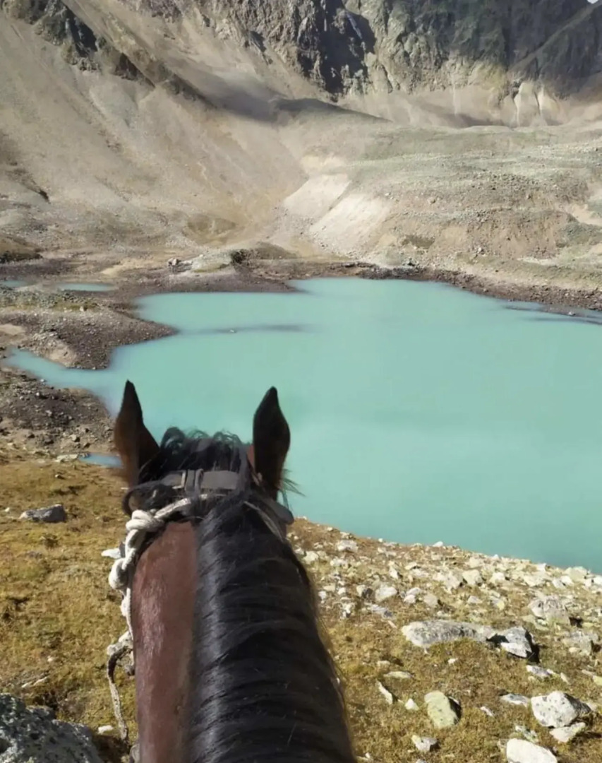 Глэмпинг Панорама 360 1