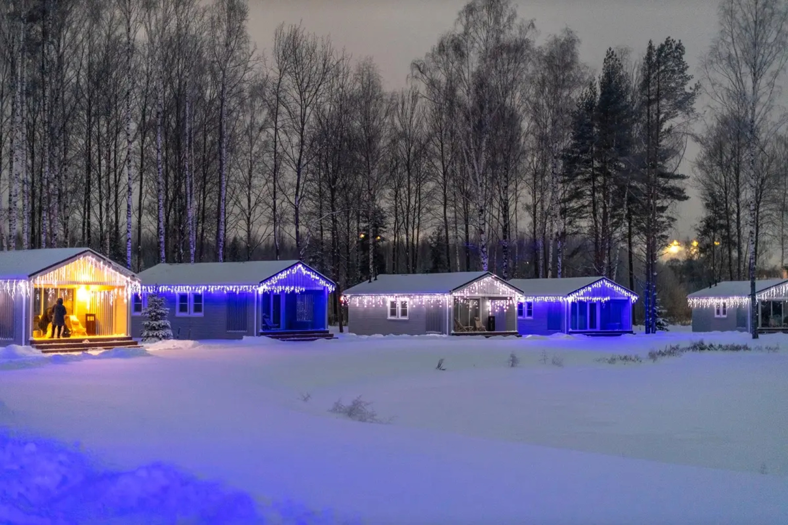 Глэмпинг Завидово