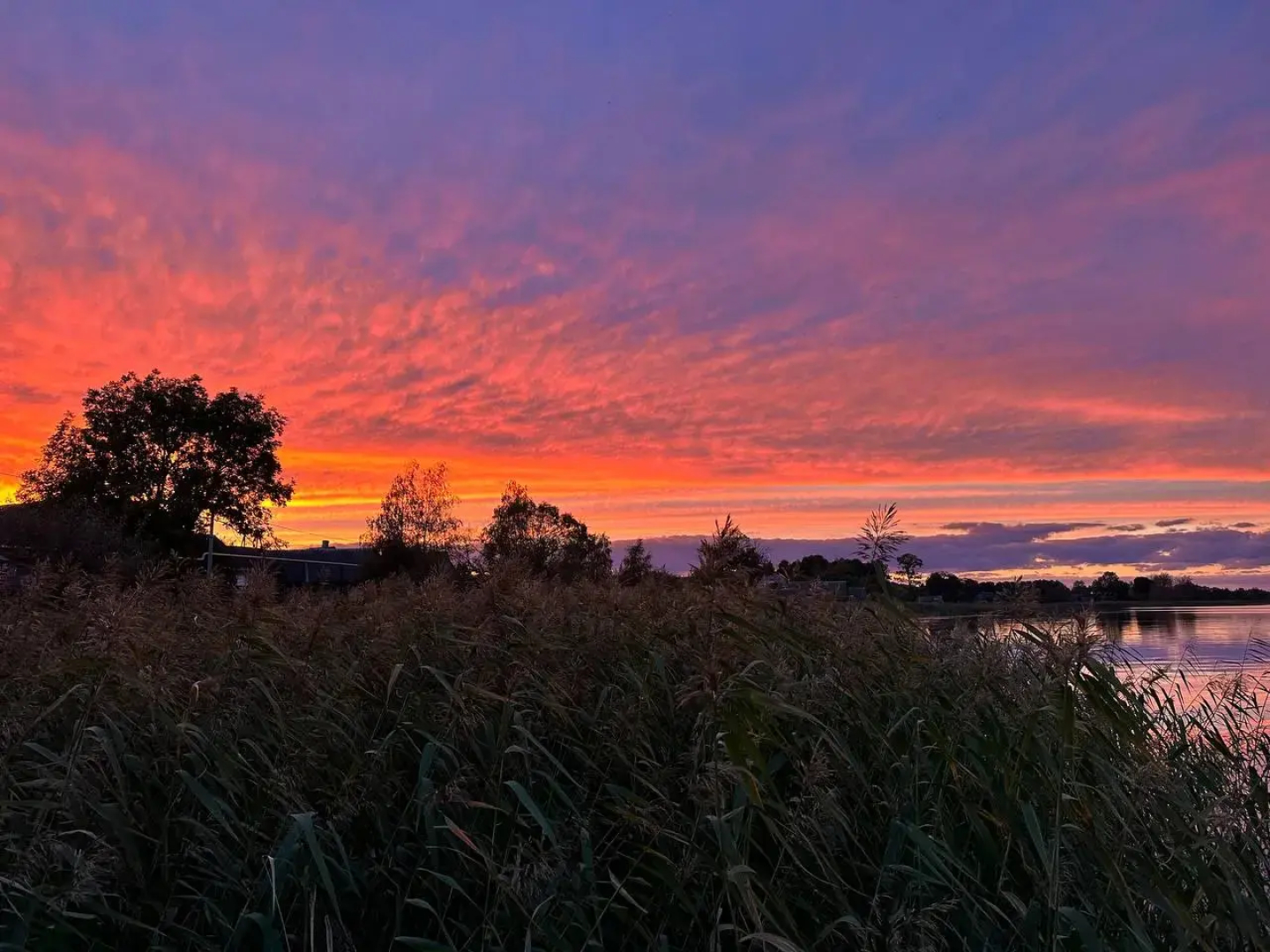 Вилла Домик у озера Свирь
