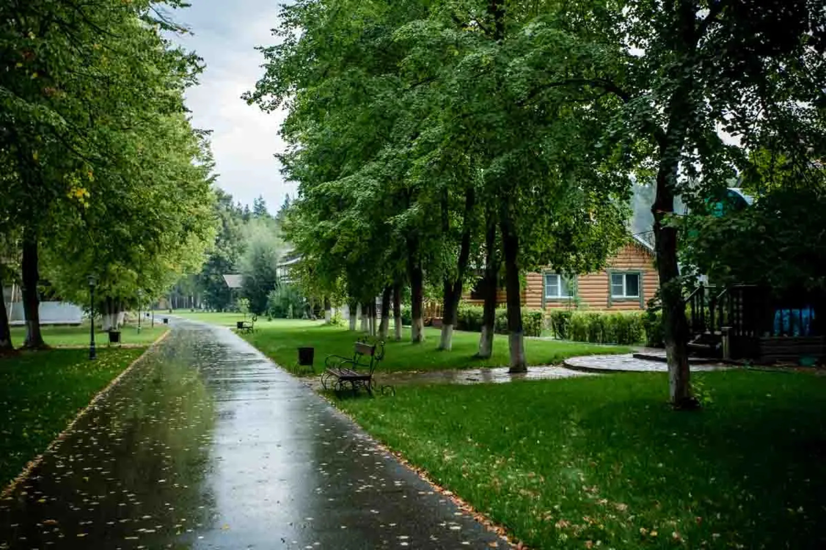 Festival Park-Hotel