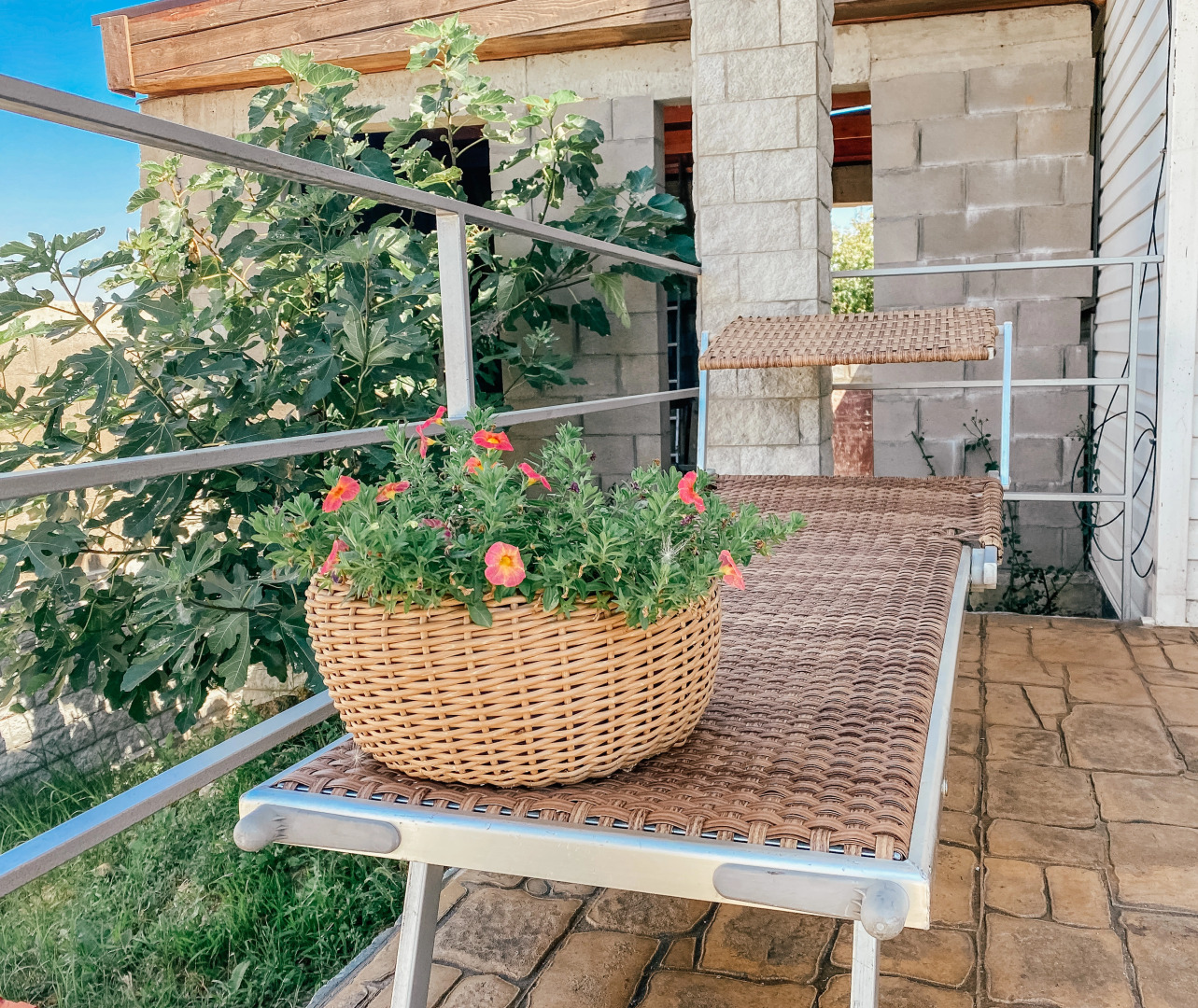 Гостевой дом Эко Дельфин