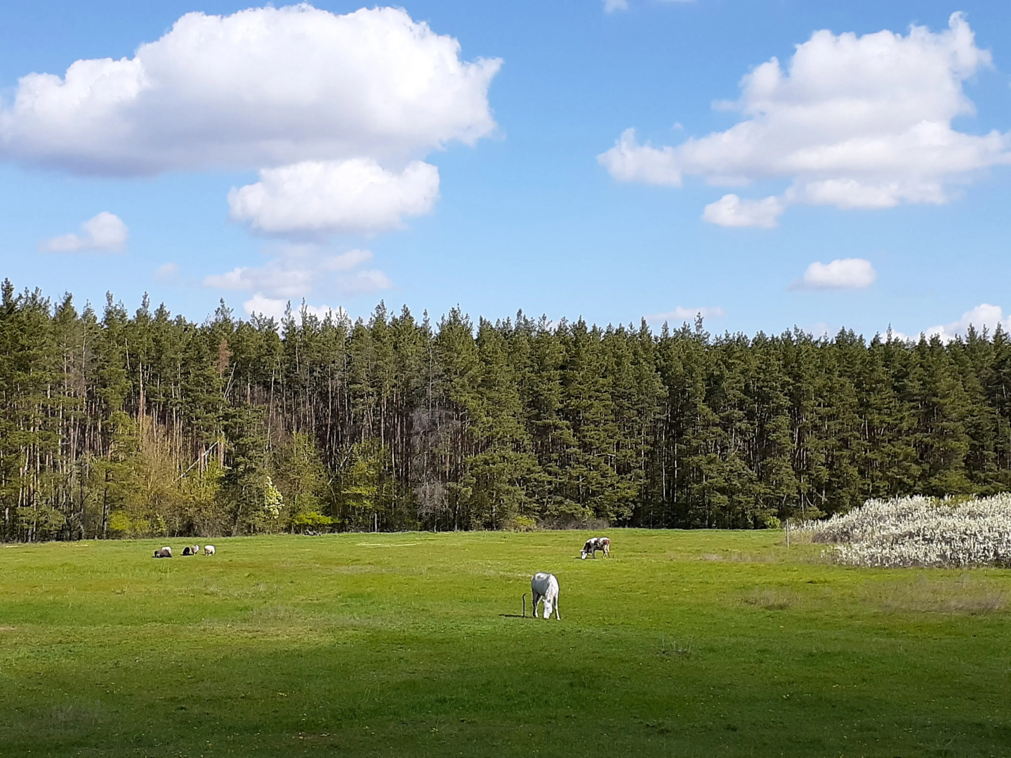 Частный дом Гостевой дом Усадьба Теплый хутор