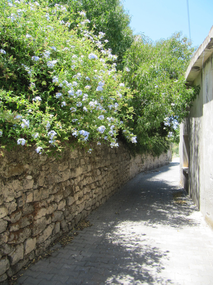 Апартаменты Sea View Penthouse