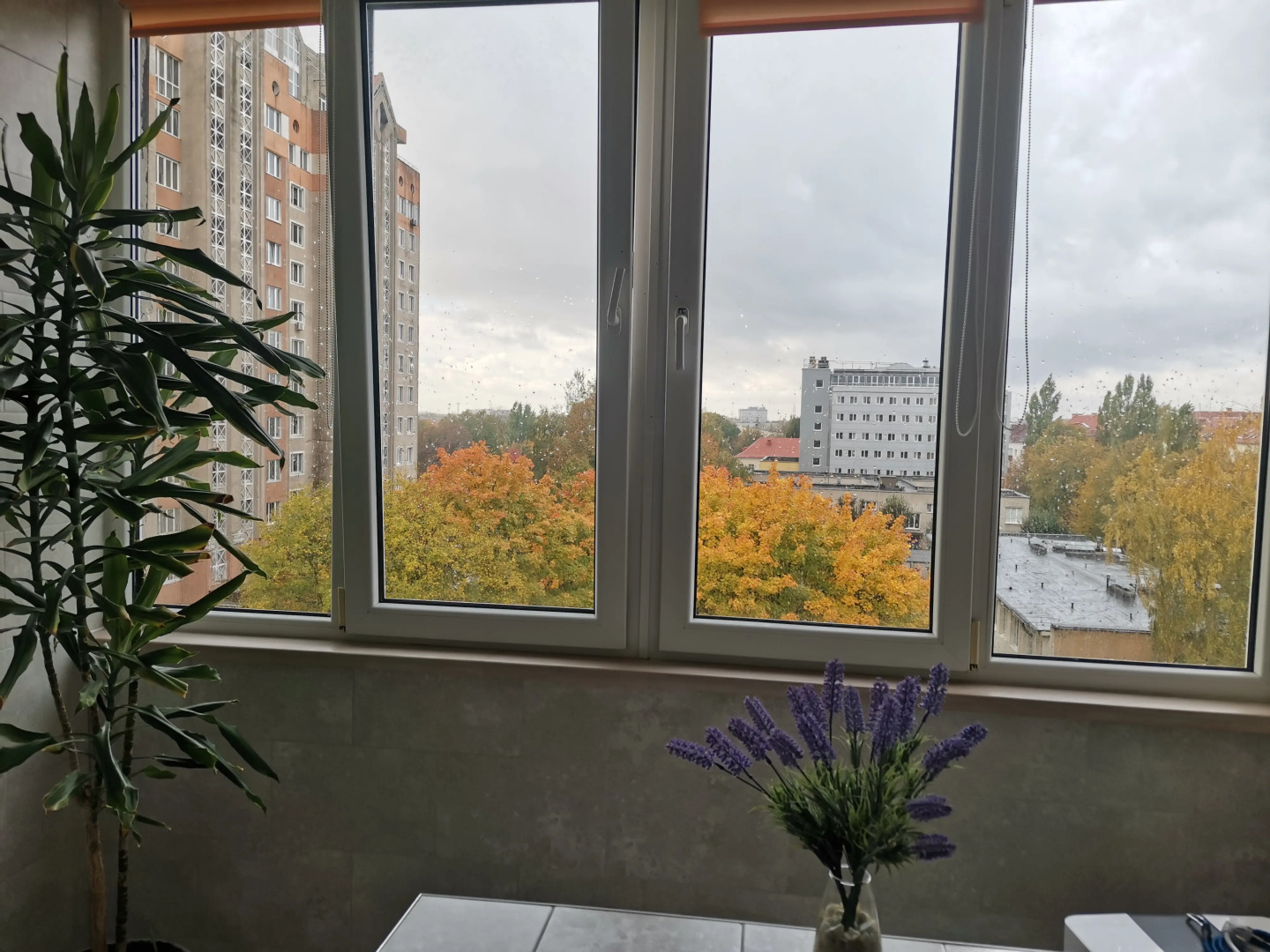 Апартаменты Морские